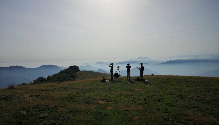 Participez à l'étude de la migration sur le Col d'Organbidexka !